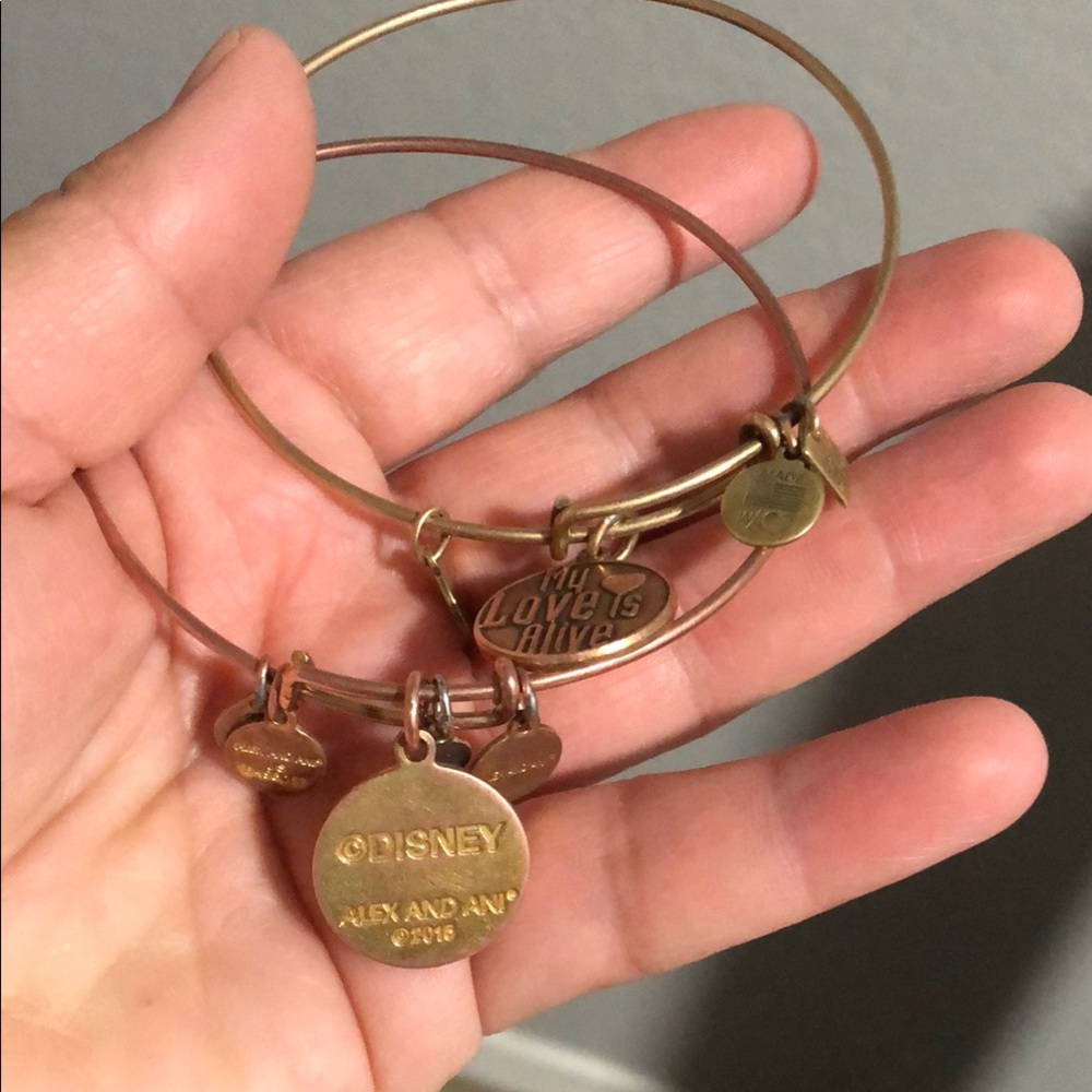 Alex and Ani Gold Expandable Bangle Bracelet